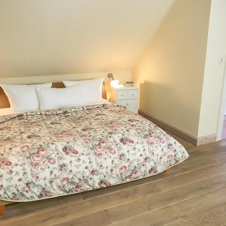 호텔 Altstadthotel Twardokus 아우리흐